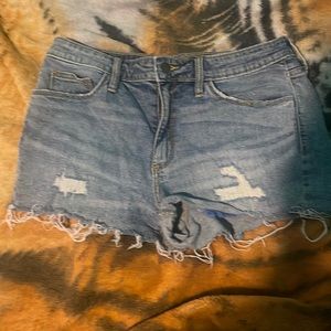 Universal Thread shorts